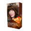 Picture of Revlon Colorsilk #43 Med Golden Brown 130Ml